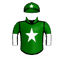 horse