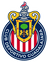 homeLogo